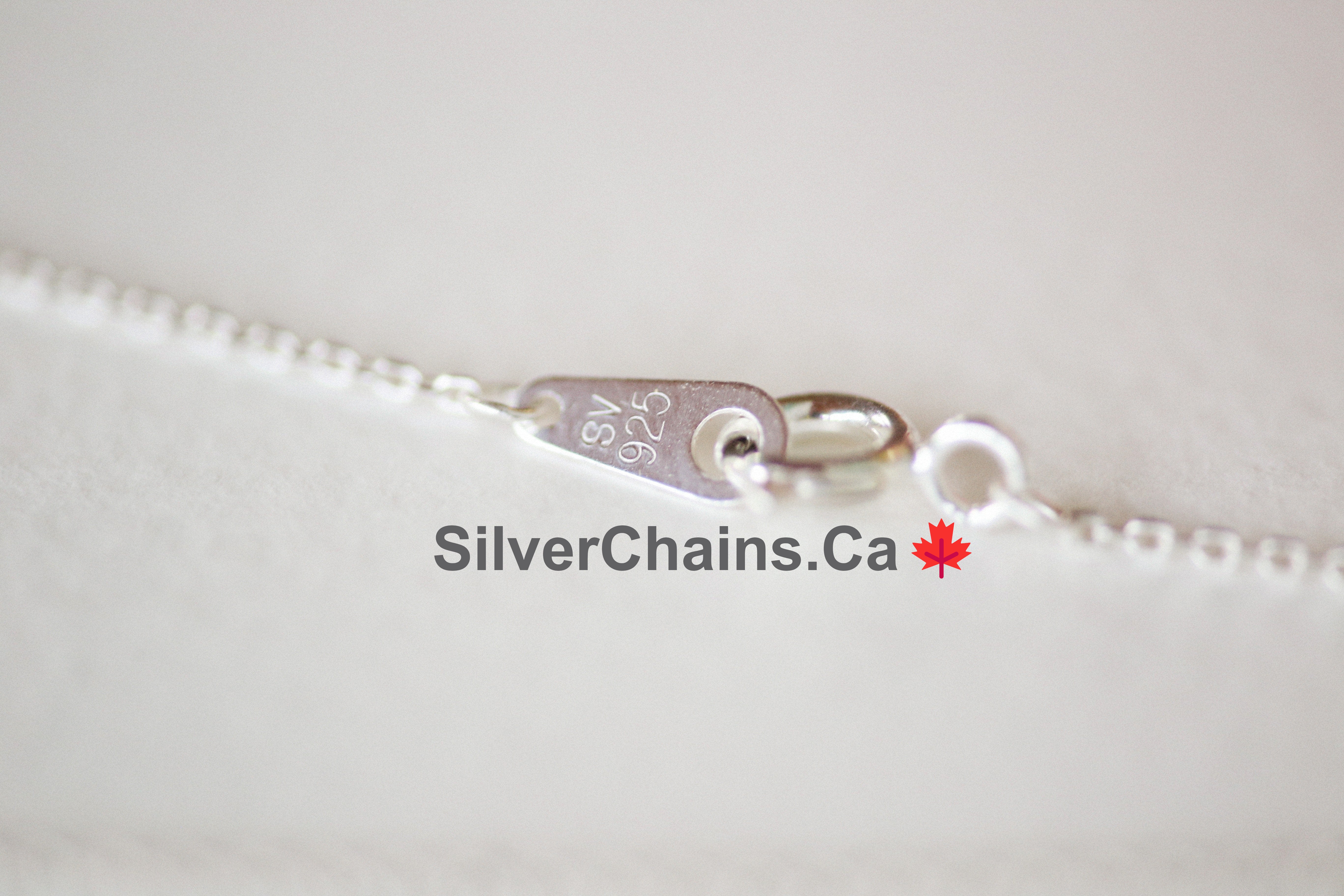 silverchains.ca logo